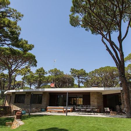 Villa Roccapini Castiglione della Pescaia Ngoại thất bức ảnh